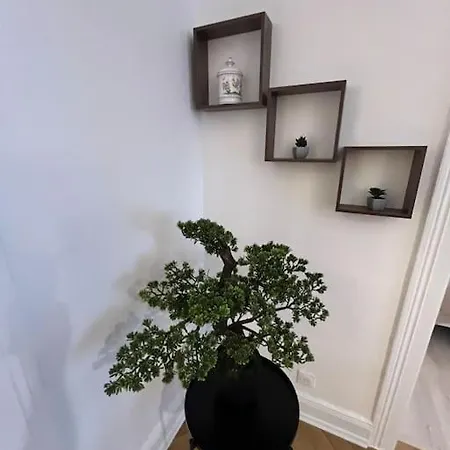 Esprit Vosges - 3 De Charme Daire